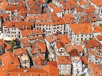 Kotor